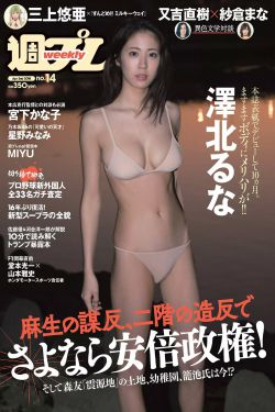 电视剧扫黑风暴在线观看免费完整版